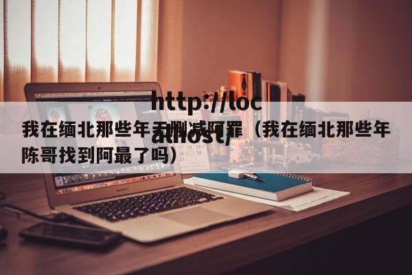 我在缅北那些年无删减阿罪(我在缅北那些年陈哥找到阿最了吗)